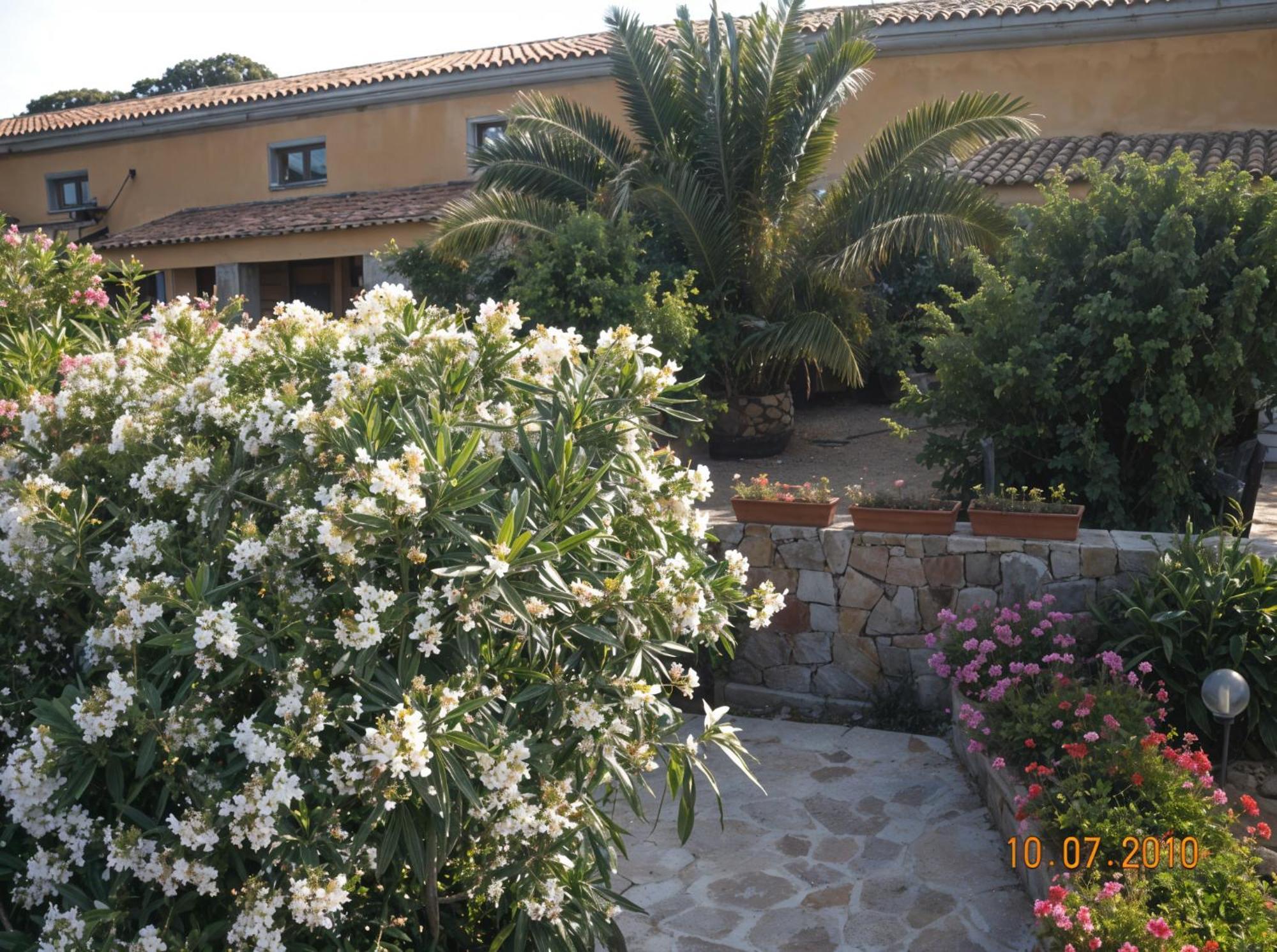 Agriturismo Lu Colbu Trinità d'Agultu Eksteriør billede